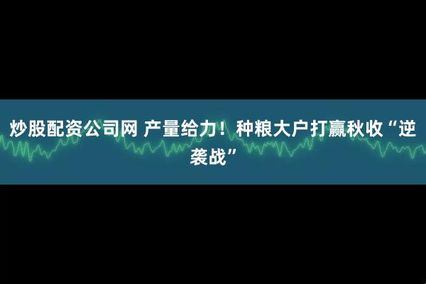炒股配资公司网 产量给力！种粮大户打赢秋收“逆袭战”